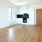 Pronajměte si 2 ložnic/e byt o rozloze 59 m² v České Budějovice