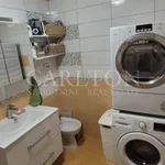 Rent 3 bedroom apartment of 79 m² in Zagreb