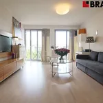 Rent 1 bedroom apartment of 43 m² in Brno