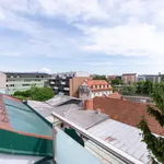 Rent 2 bedroom apartment of 54 m² in Graz