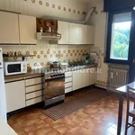 Rent 3 bedroom apartment of 120 m² in Padua