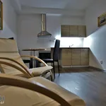 Rent 1 bedroom apartment in Uherské Hradiště