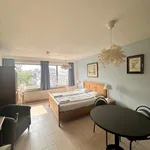 Rent 1 bedroom apartment in Leuven