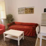 Rent 1 bedroom apartment in Florence