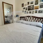 2-room flat via delle Rose 10, Ospedaletti