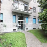 Rent 2 bedroom apartment of 50 m² in Milano