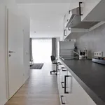 Rent 2 bedroom apartment of 55 m² in Dortmund