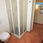 Rent 2 bedroom apartment of 50 m² in Novara