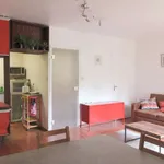 Rent 1 bedroom apartment of 43 m² in Toulouse