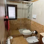 Rent 3 bedroom apartment of 60 m² in Partinico