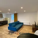 Rent 1 bedroom apartment in Saint-Étienne