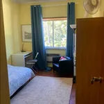 Rent 3 bedroom apartment in Lisbon