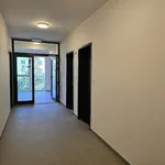 Pronajměte si 1 ložnic/e byt o rozloze 30 m² v Pilsen