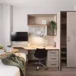 Rent 1 bedroom apartment in Madrid