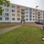 Pronájem bytu 1+1 42m²