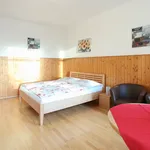 Miete 1 Schlafzimmer wohnung von 30 m² in Vienna