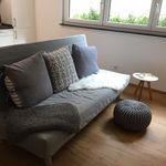 Miete 1 Schlafzimmer wohnung von 50 m² in Nuremberg