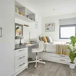 Rent 1 bedroom apartment in Exeter