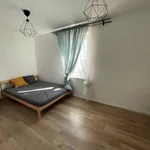 Rent 1 bedroom apartment of 40 m² in Zabrze