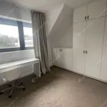 Rent 4 bedroom apartment of 91 m² in budapest