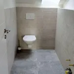 Rent 4 bedroom apartment in Hulín