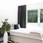 Rent 1 bedroom apartment of 33 m² in Essen