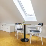 Studio of 37 m² in Prague