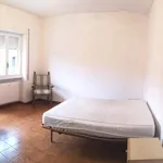 Rent 3 bedroom apartment of 100 m² in Roma