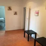 Rent a room in Bologna