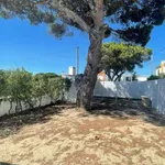 Rent 2 bedroom apartment of 60 m² in lisbon