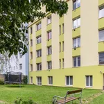 Rent 1 bedroom apartment of 135 m² in Brno