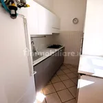 Rent 3 bedroom apartment of 100 m² in Imola