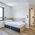 Rent 1 bedroom apartment in madrid