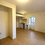 Rent 1 bedroom apartment of 25 m² in Saint-Palais