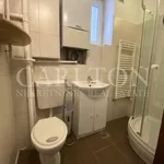 Rent 2 bedroom apartment of 60 m² in Zagreb