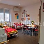 Rent 1 bedroom apartment of 37 m² in Bologna