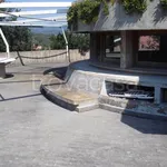 Rent 8 bedroom house of 250 m² in Orbetello