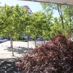 Rent a room of 70 m² in madrid