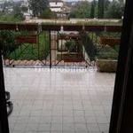 Rent 2 bedroom apartment of 30 m² in Rome