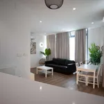 Rent 1 bedroom apartment of 50 m² in madrid