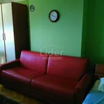 Rent 1 bedroom apartment of 26 m² in Grad Rijeka