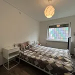 Huur 3 slaapkamer appartement van 75 m² in Broekhem Noord