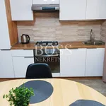 Rent 2 bedroom apartment of 53 m² in Grad Rijeka