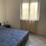 Rent 1 bedroom apartment of 60 m² in Segrate MI