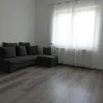 Rent 5 bedroom house of 103 m² in Budapest