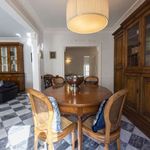 Rent 4 bedroom apartment in Firenze