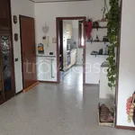 Rent 3 bedroom apartment of 90 m² in Novara