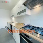 Rent 5 bedroom apartment of 107 m² in Ostrava