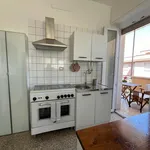 Rent 1 bedroom apartment in Rome