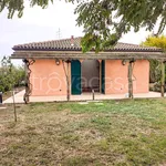 Rent 3 bedroom house of 80 m² in Baricella